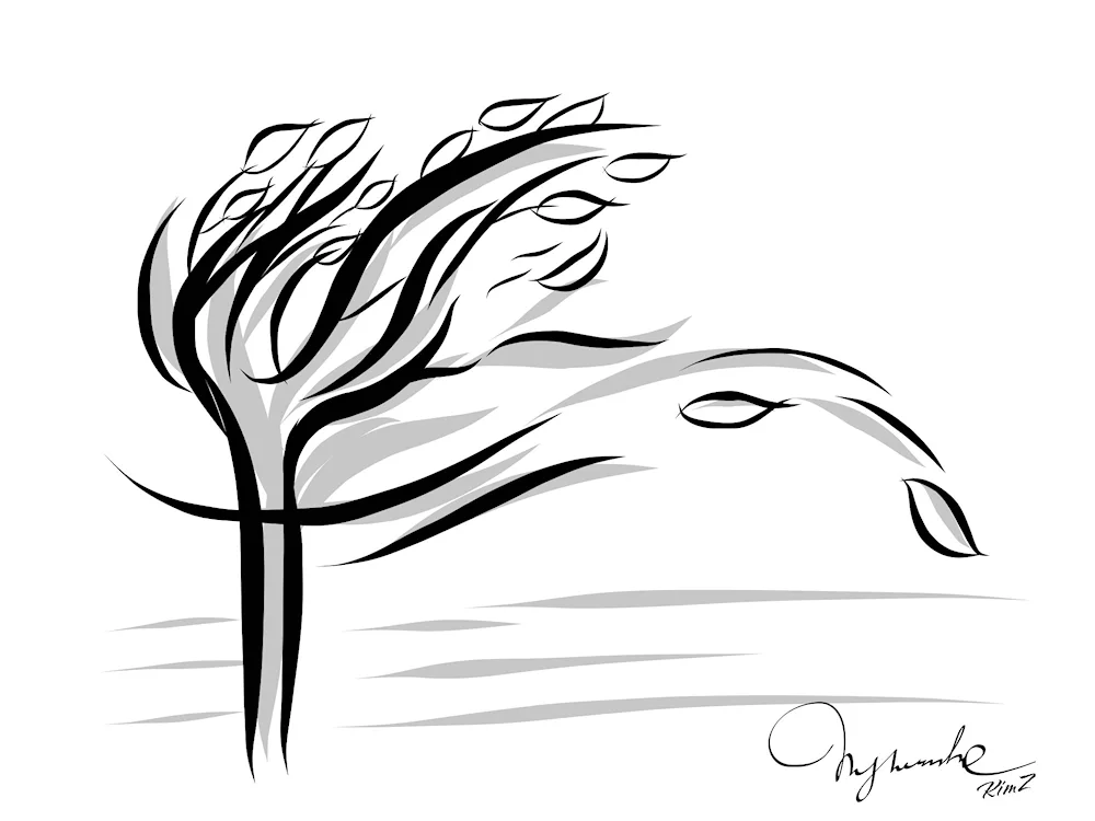 Wind stylisation
