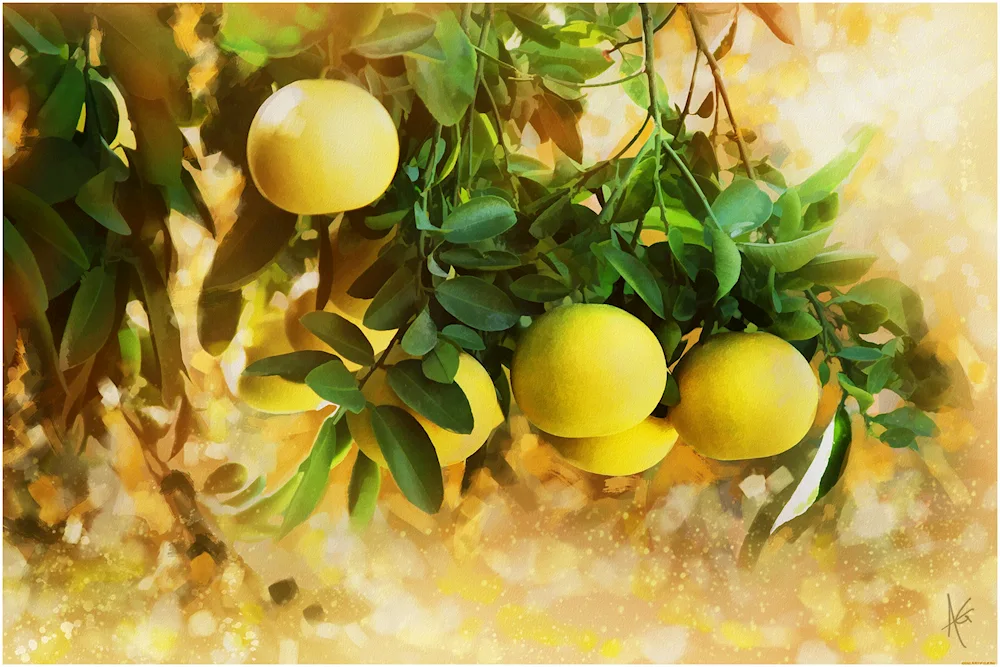 Lemon branch