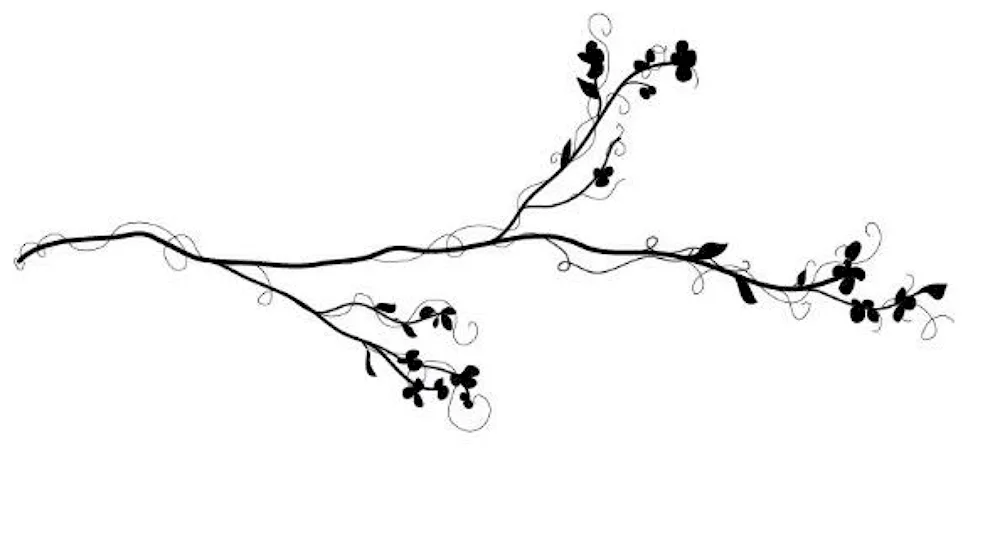 Branch on white background