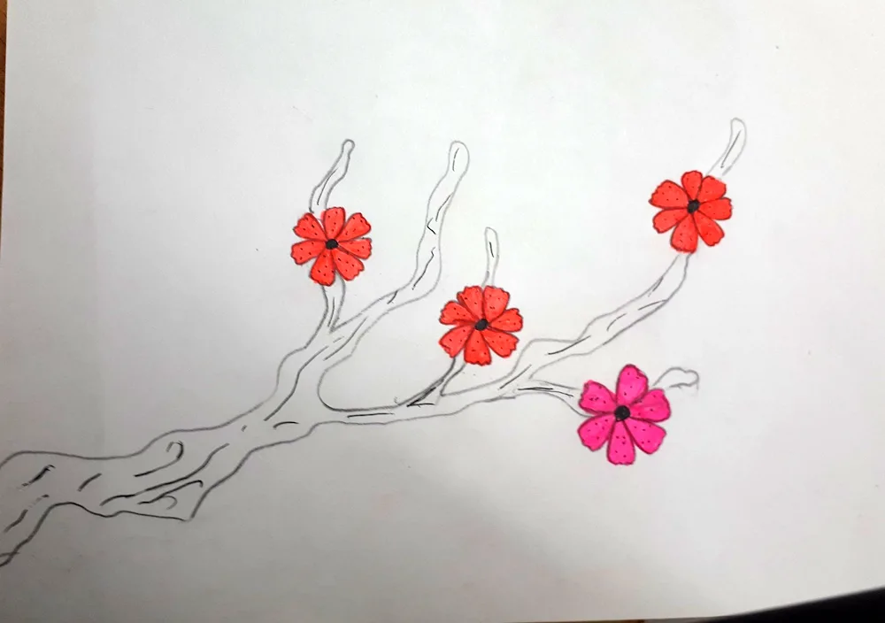 Sakura drawing