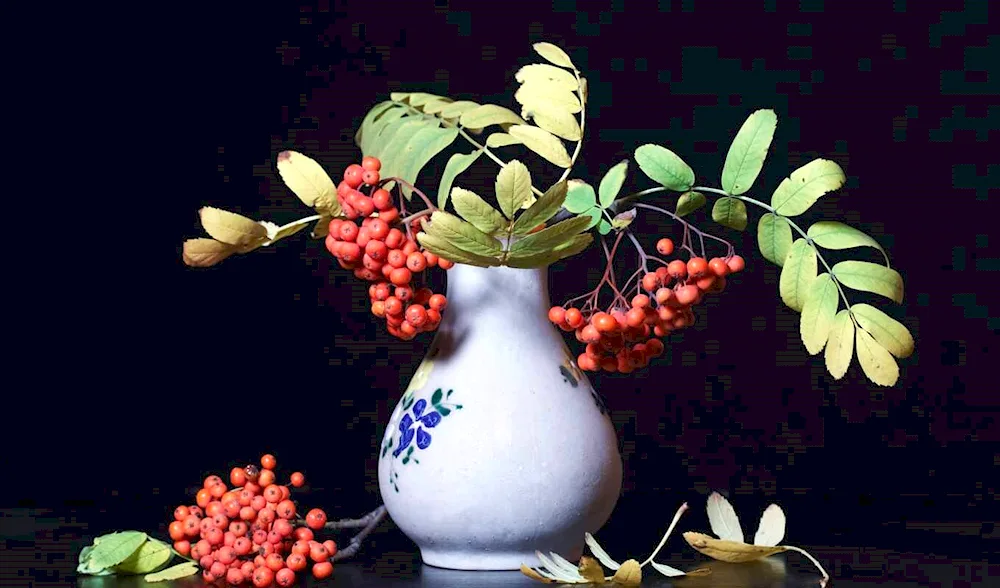 A still life with apples
