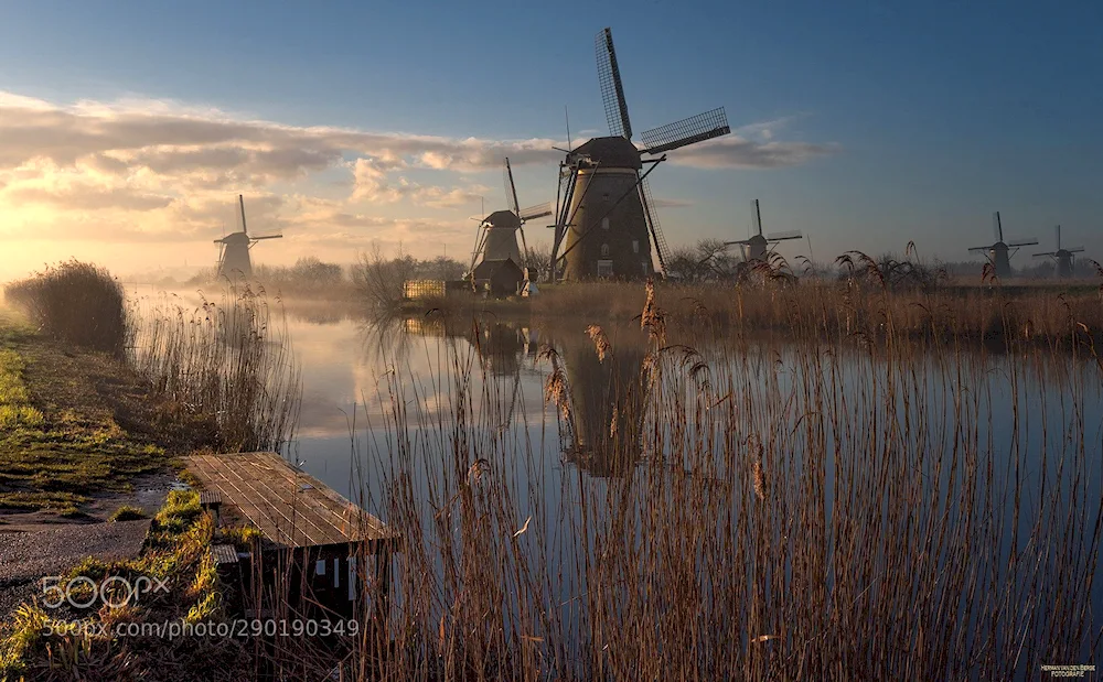Windmills in the Kinderdijk area of the Netherlands. Elshout
