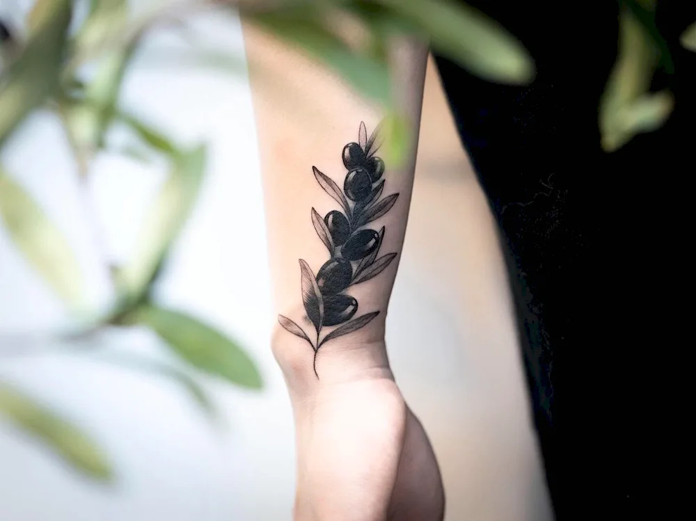 Sketch of tattoo sprig with leaves