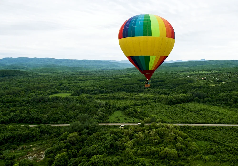 Balloon with basket