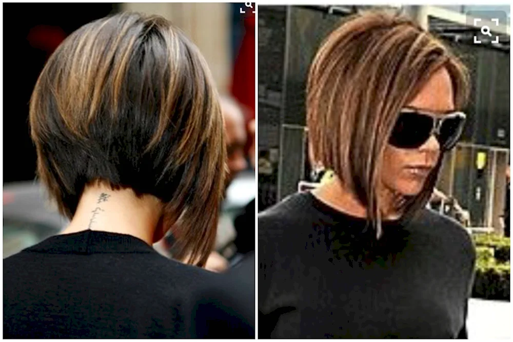 Pixie bob and bob bob bob haircut