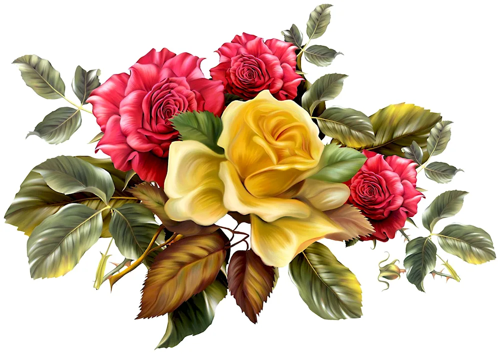 Coloured flowers