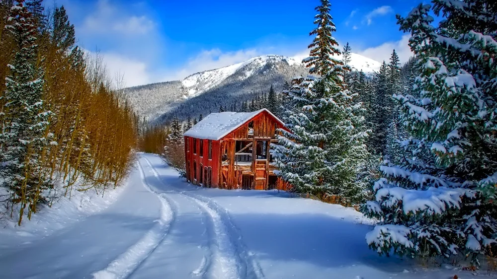 Winter house