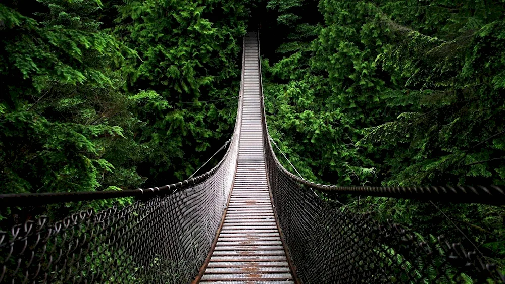 Wyoming State Capilano Bridge