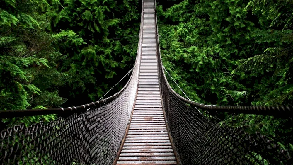 Brooklyn Bridge Saransk