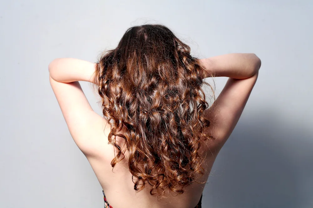 Curly hair in back view