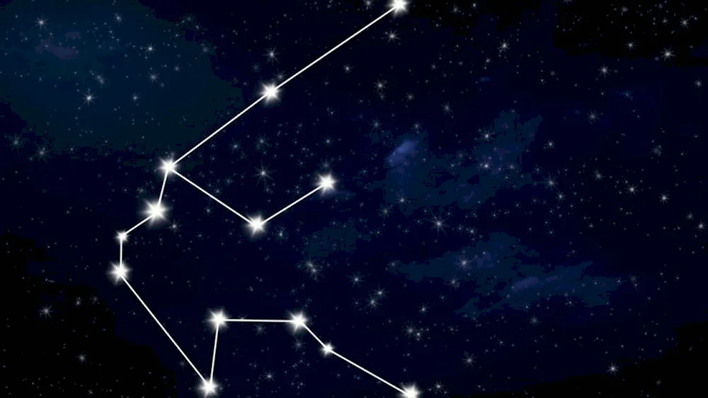 Fish constellation