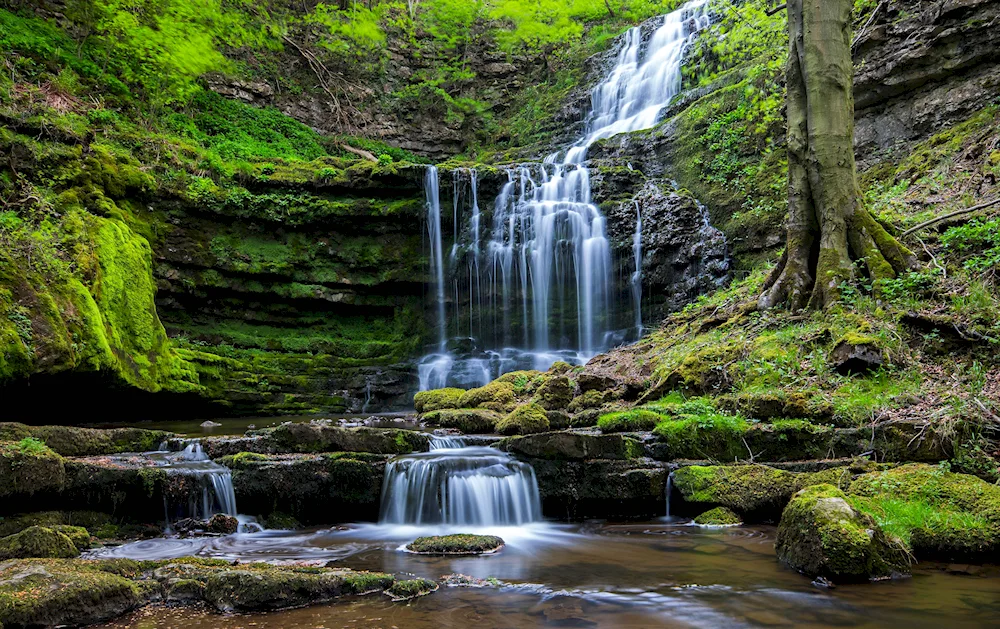 Lugard Falls