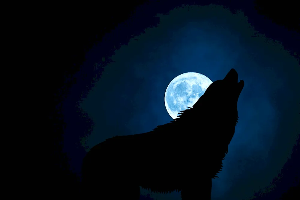 The Howling Wolf