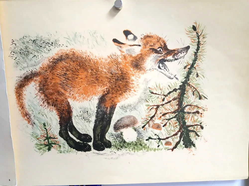 Wolfie Charushin illustrations