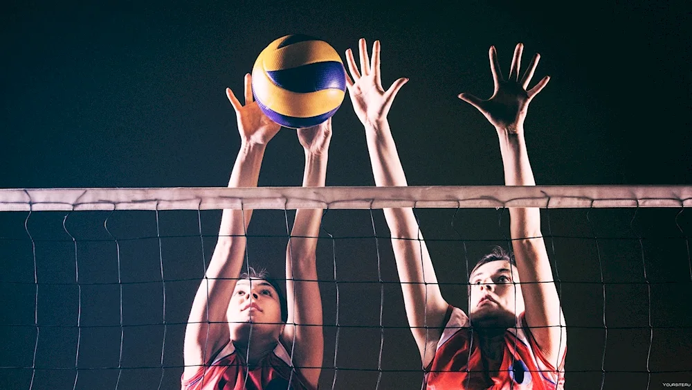 Volleyball in the park