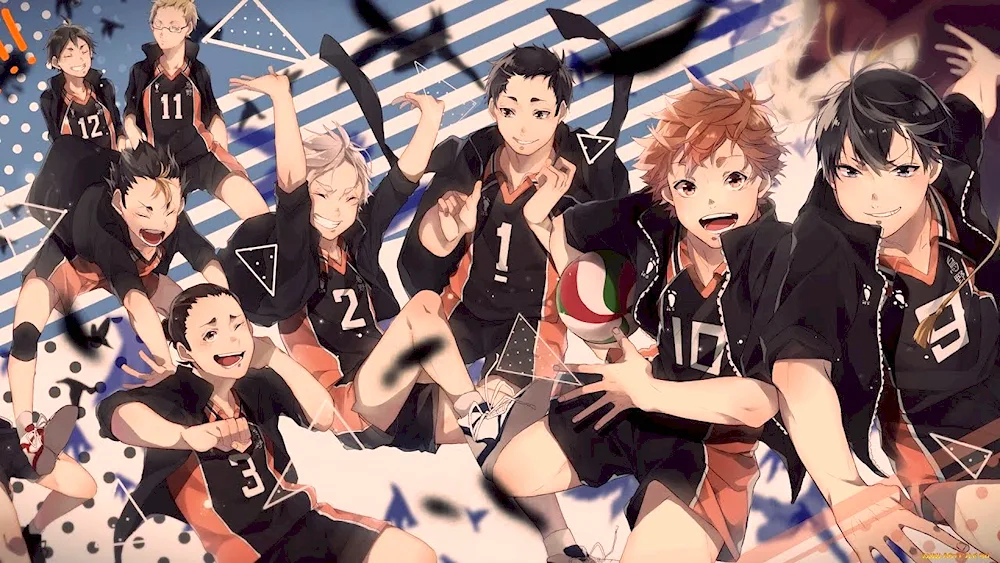 Karasuno team anime