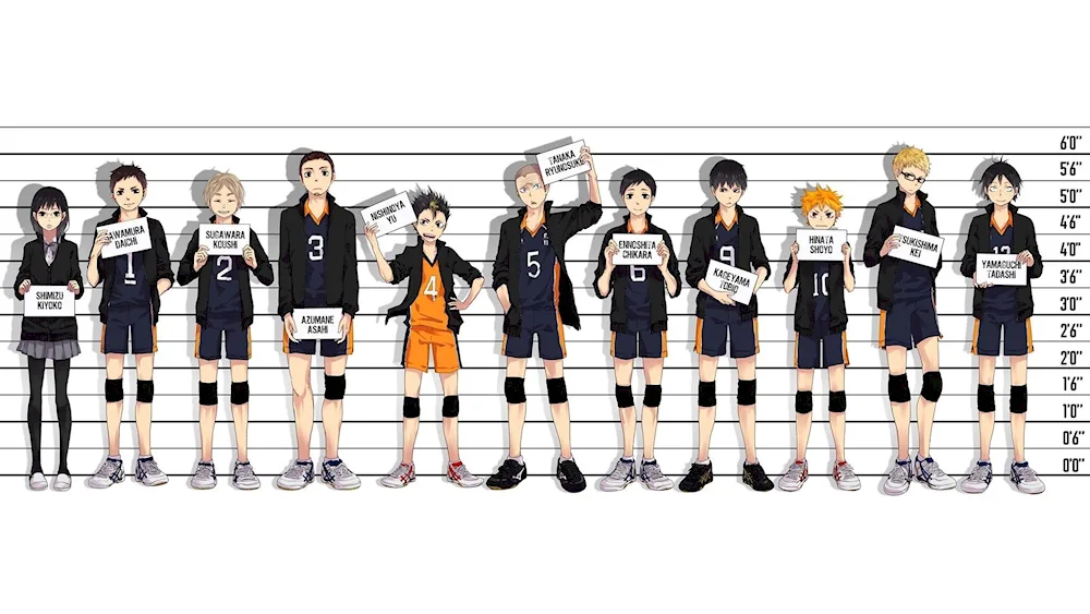 Karasuno anime team