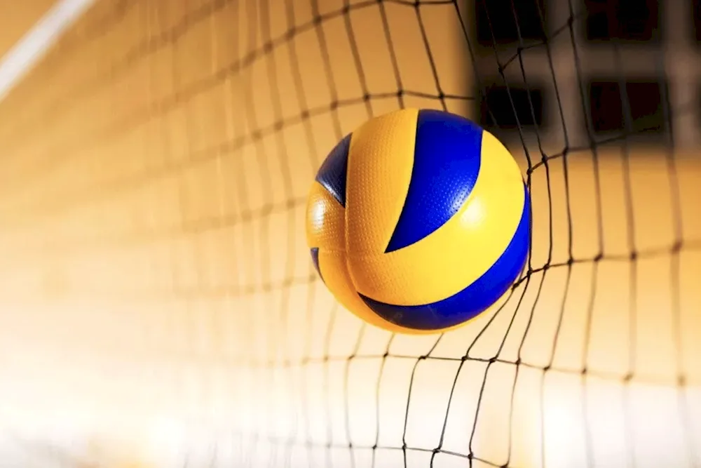 Volleyball ball and net