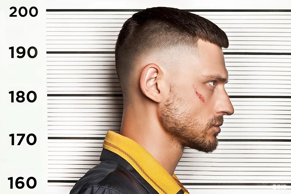 Wolfcut haircut male