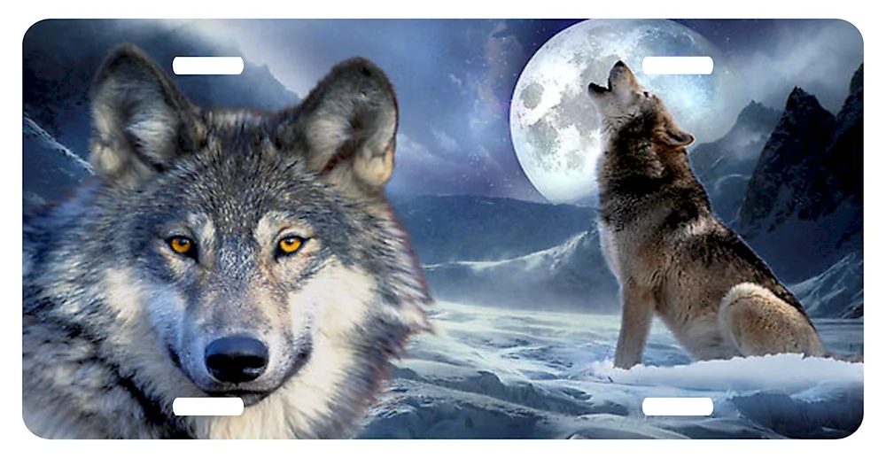 Volk wallpaperWolf of the southern rocky mountainsBlack wolfBlack wolfDark WolfWolfWolf fantasyWolfWolfWolfWolfBeautiful wolfBeautiful wolfBeautiful wolfWolf howling at the moon