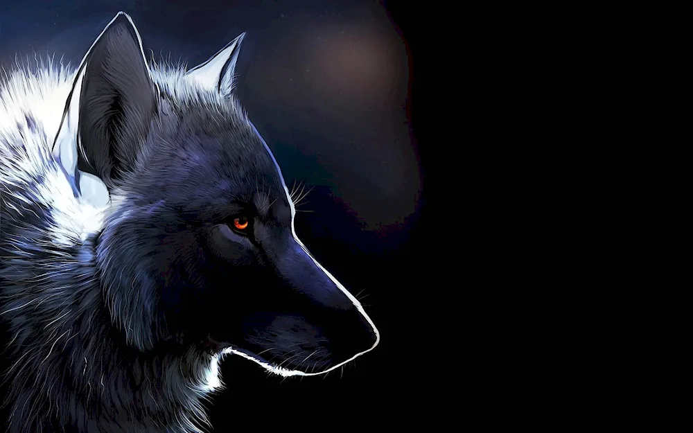 Wolf in the night