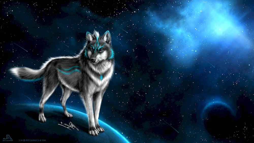 Beautiful wolf