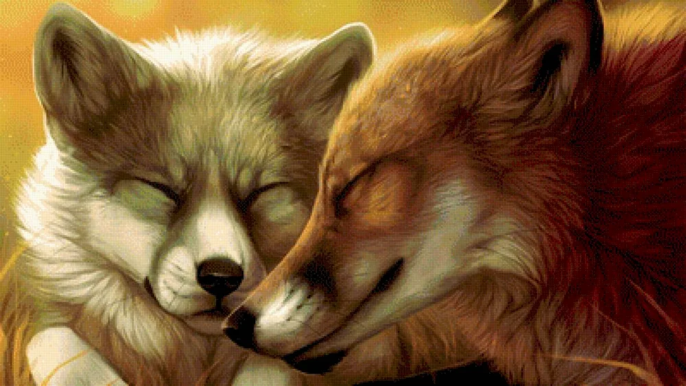 Wolf and fox