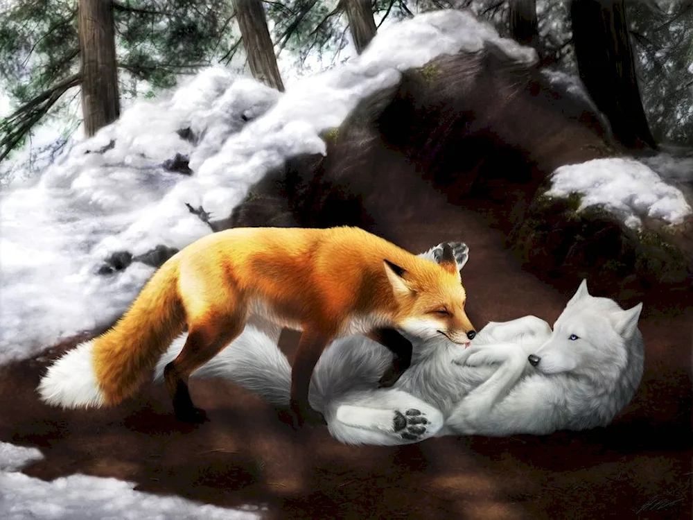 Wolf and fox