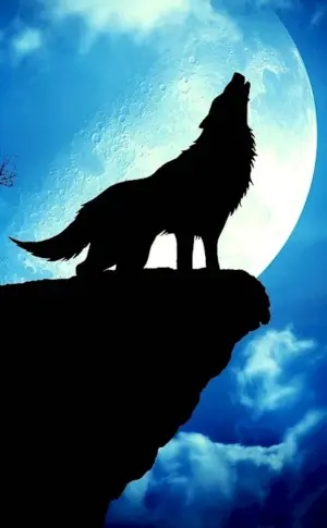 The Wolf and the Moon