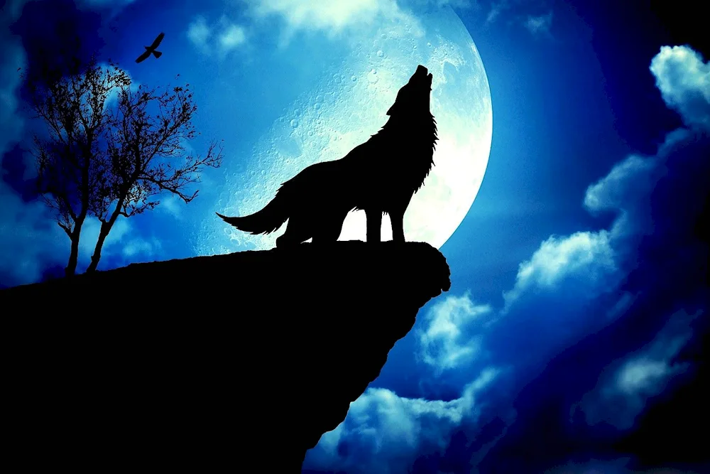 The Wolf and the Moon