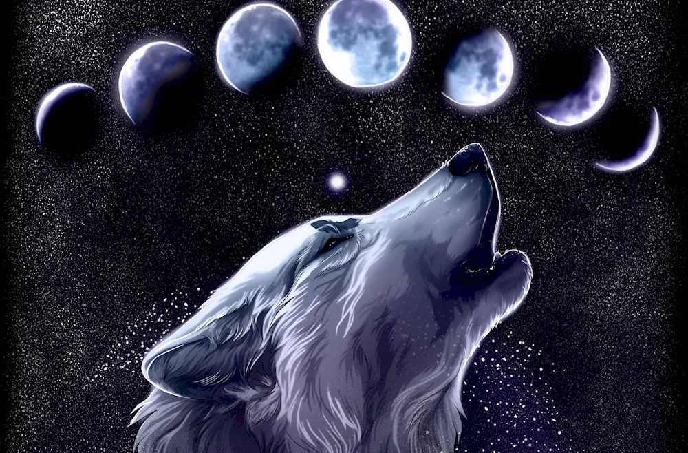 Wolf and the moon