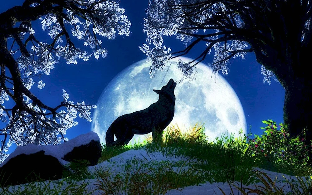 Wolf and the moon