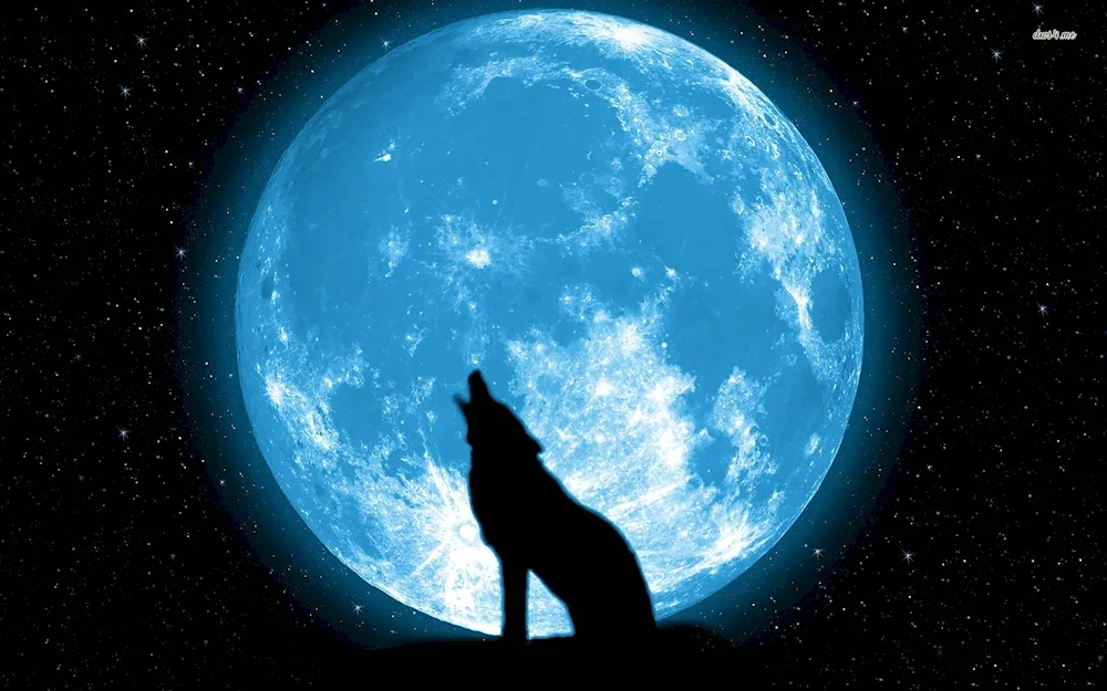 The Wolf and the Moon