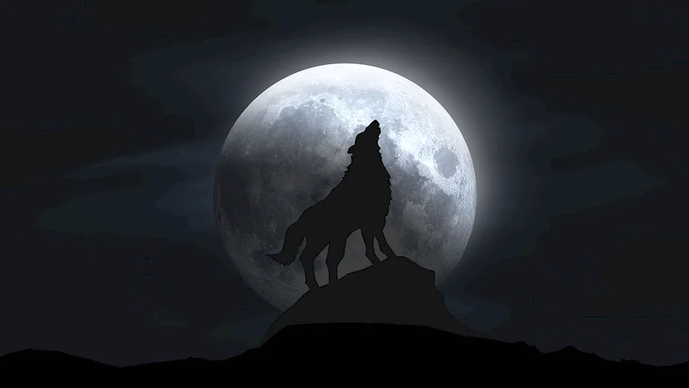 The Wolf and the Moon