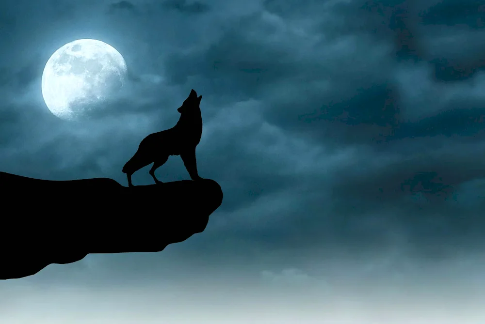 The Wolf and the Moon