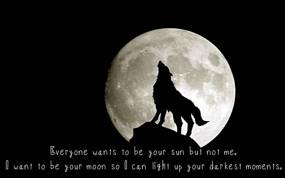 The Wolf and the Moon