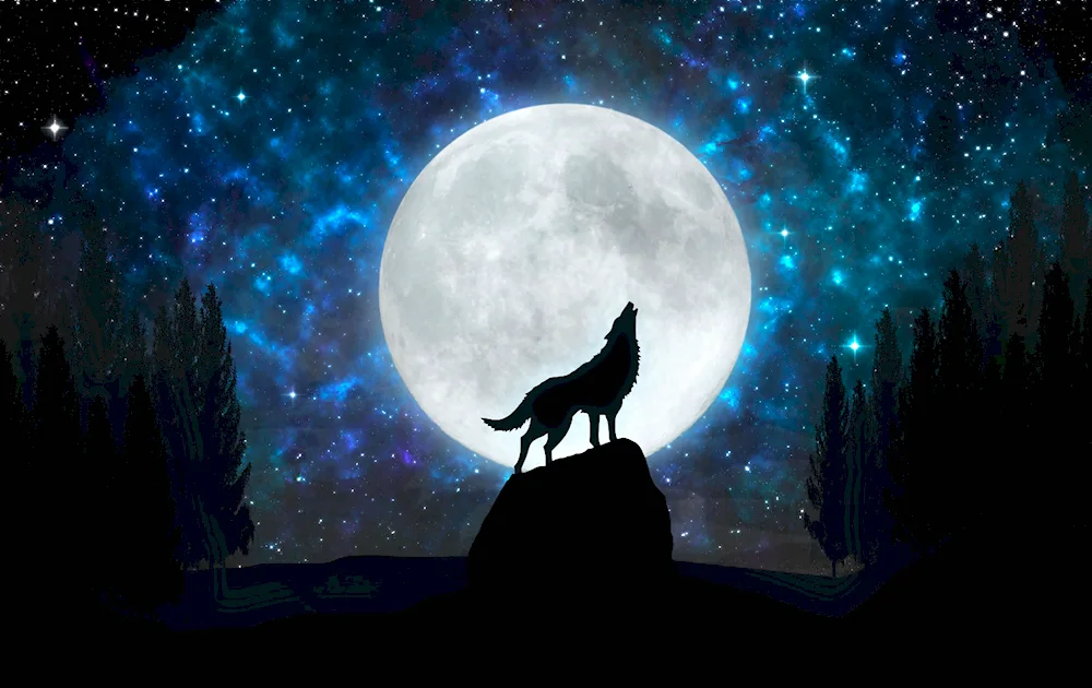 The Wolf and the Moon howls at the Moon