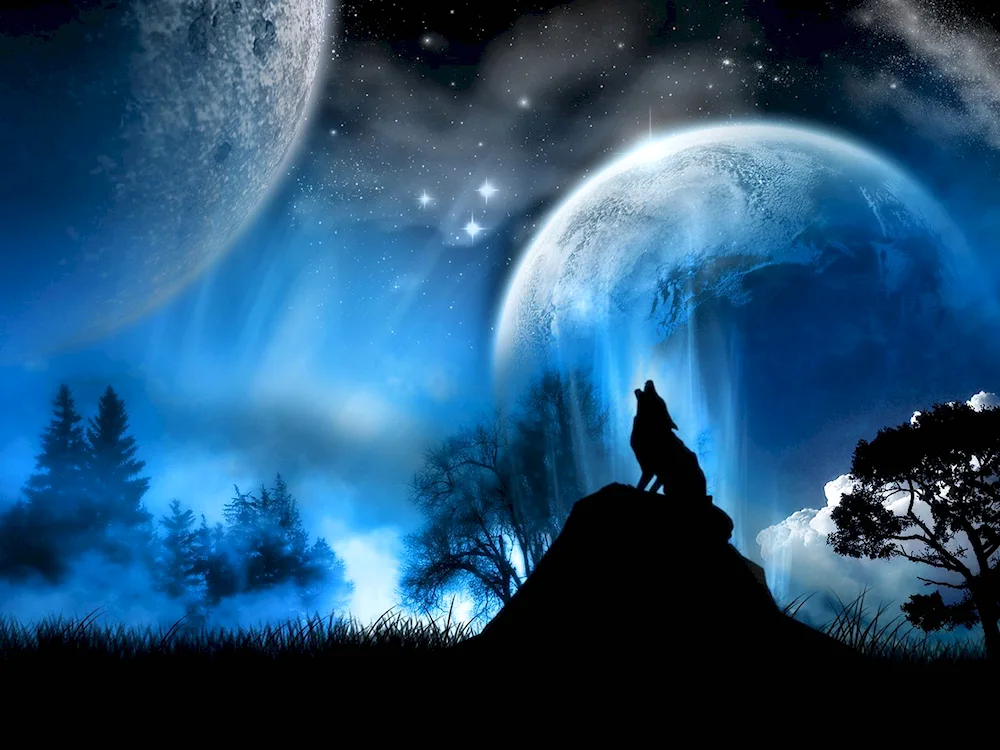 Wolf and moon