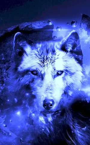 Wolf wallpaper