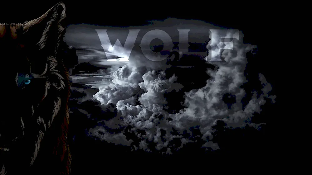 Wolf wallpaper