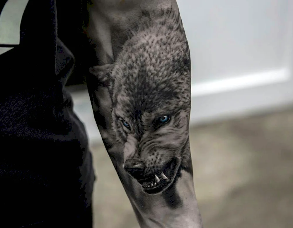 Wolf grin realism