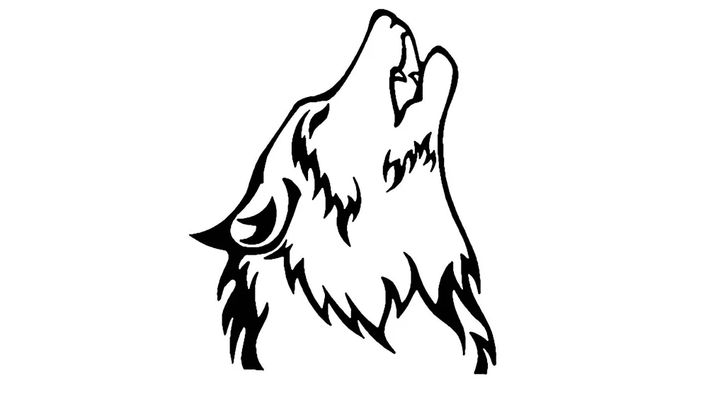 Wolf drawing
