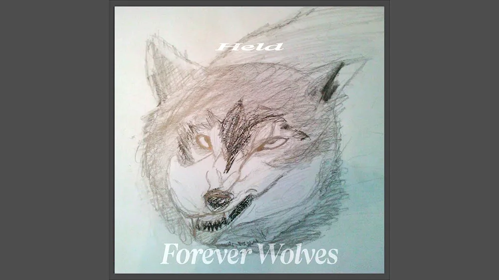 Wolf pencil drawing from the side