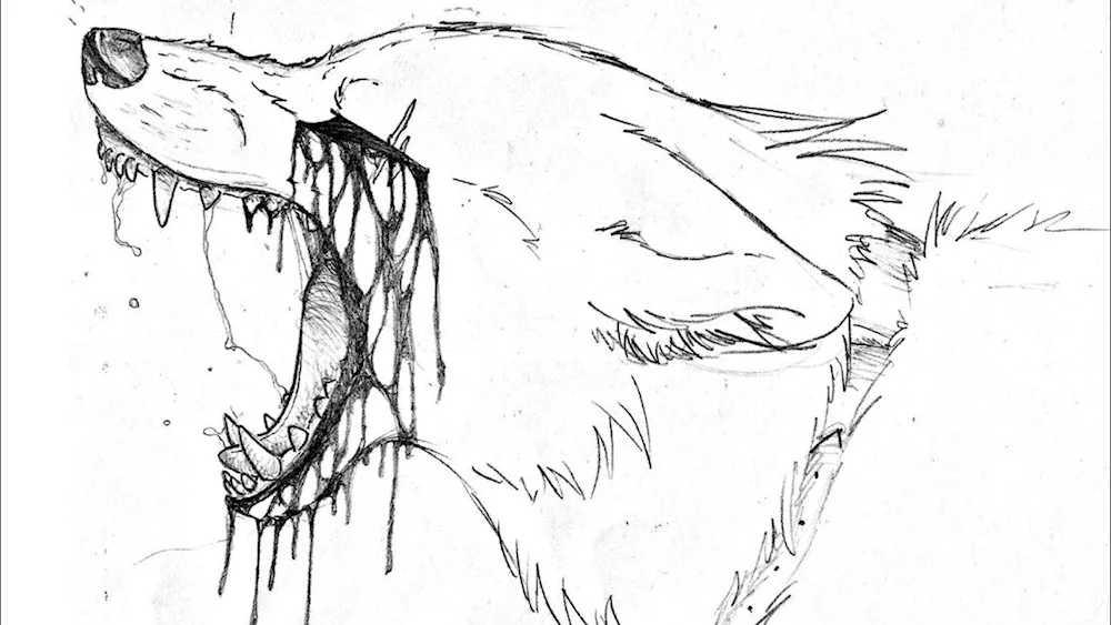 Wolf drawing
