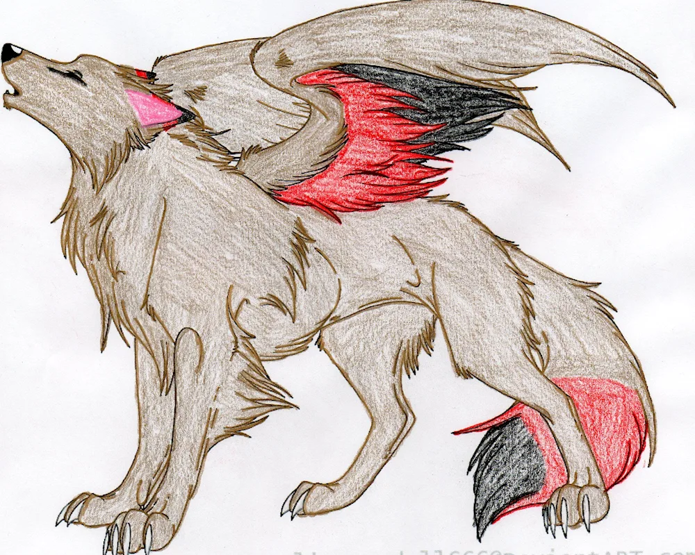 Wolf drawing
