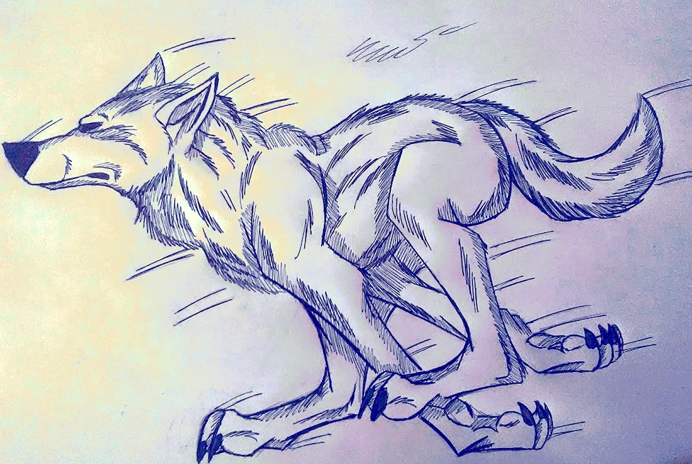 Anime wolves in pencil