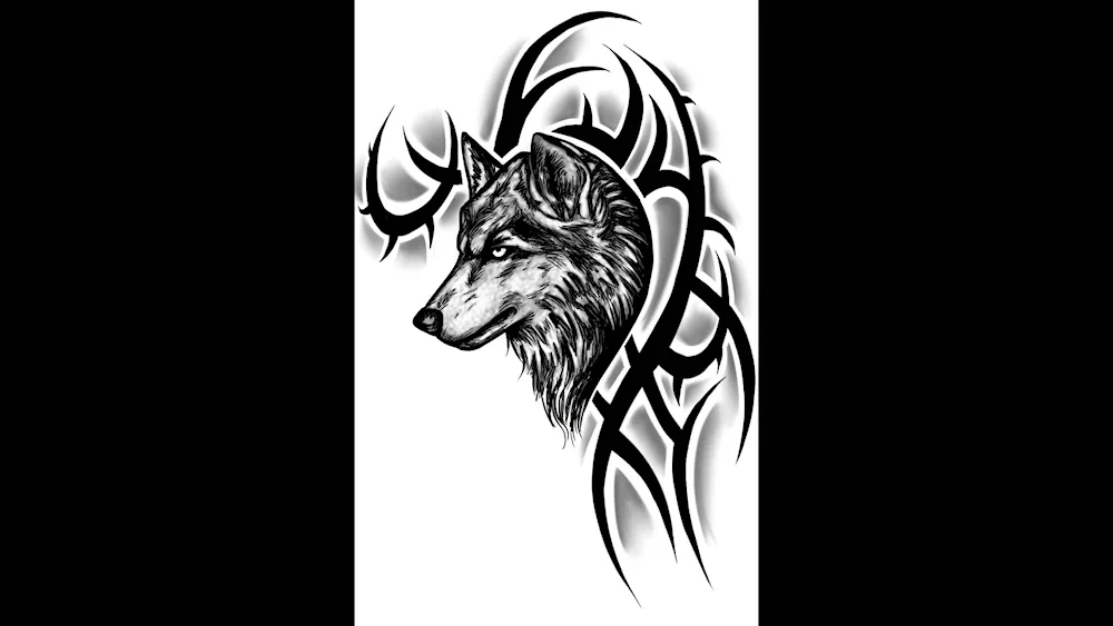 Wolf tattoo sketch