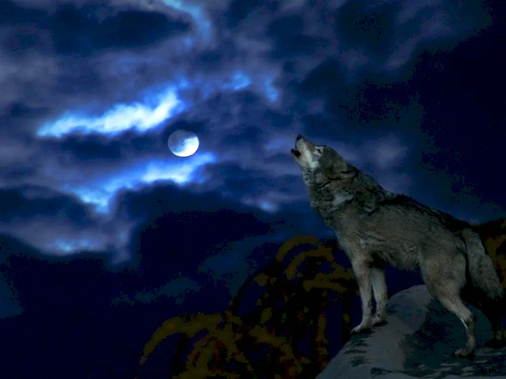 The Wolf and the Moon. moon