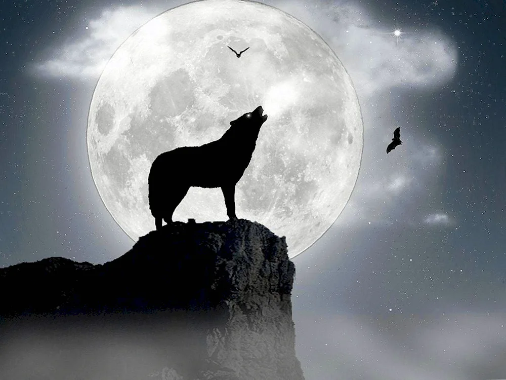 The Wolf howls at the Moon