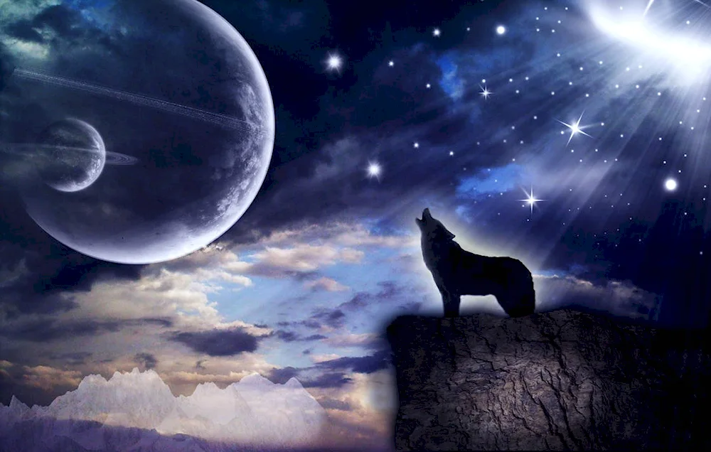 Wolf and moon